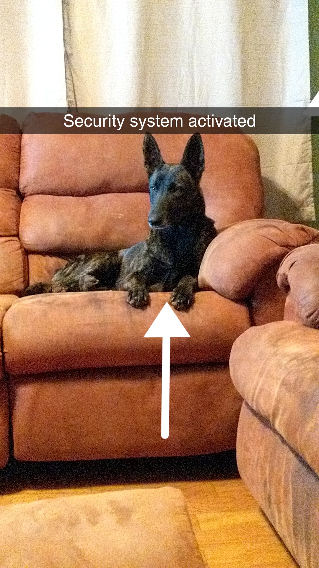 Snapchat-1155109367.jpg