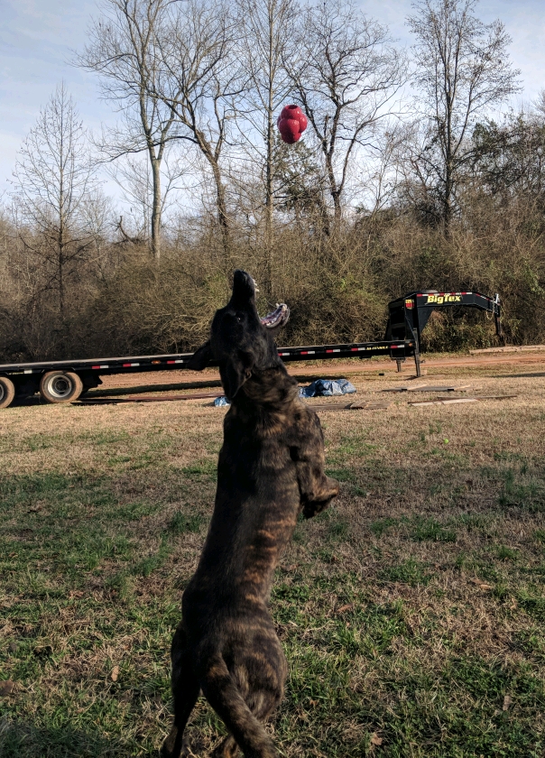IMG_20180212_162510_crop_604x840.jpg