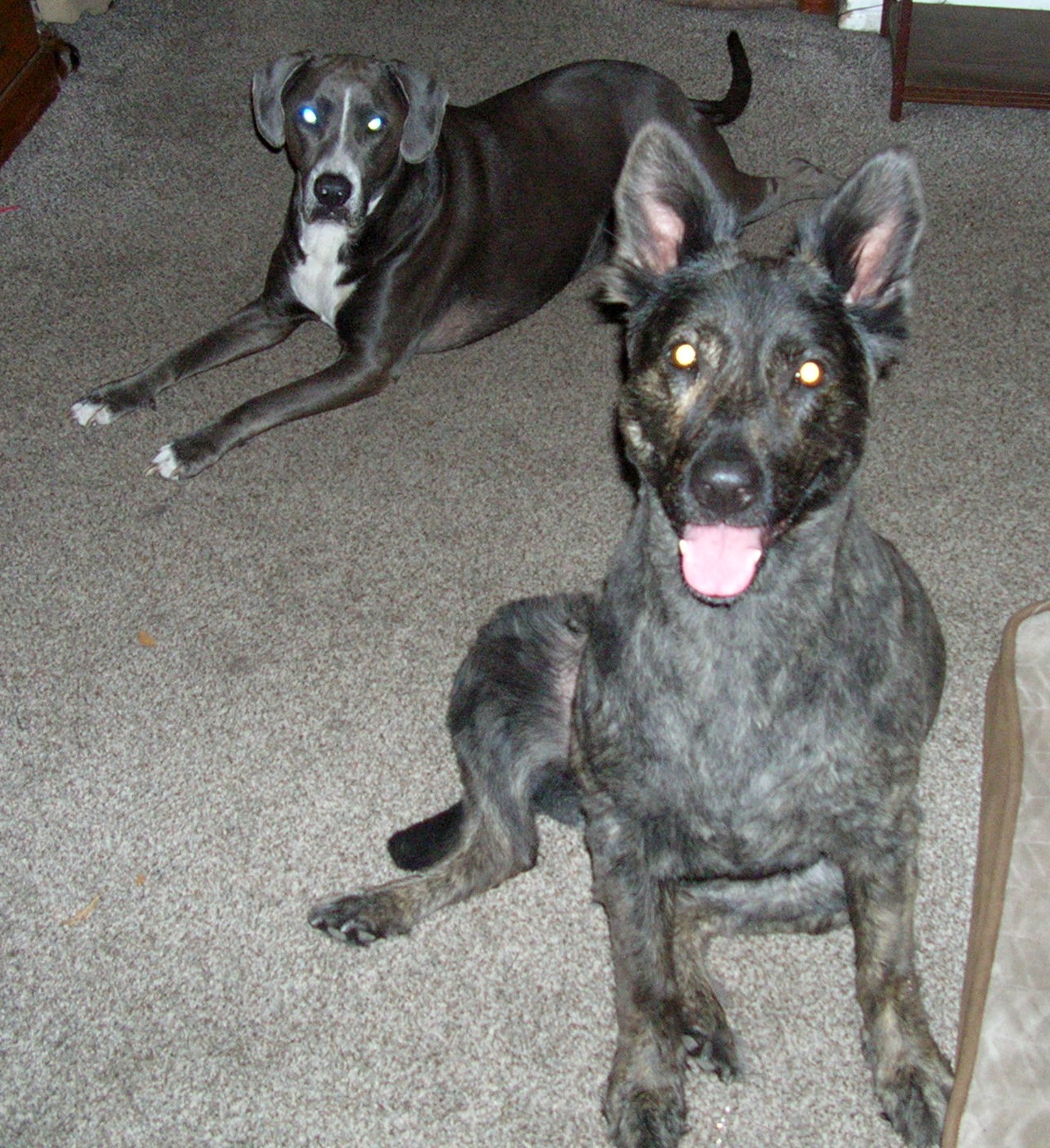 DSCN3824.JPG