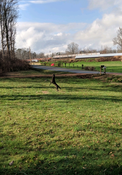 MVIMG_20180220_155758_crop_421x604.jpg
