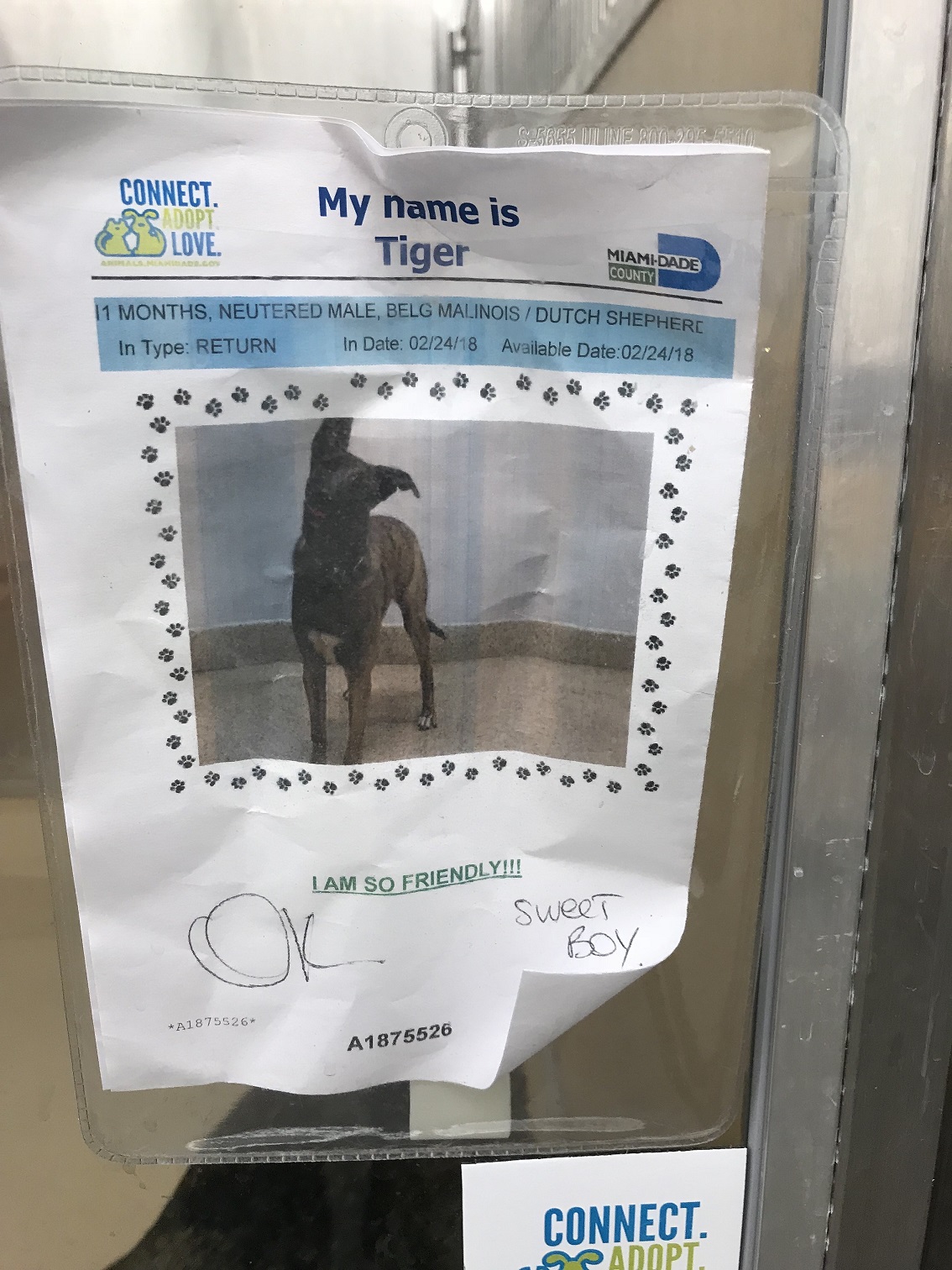 ShelterPaper.jpg