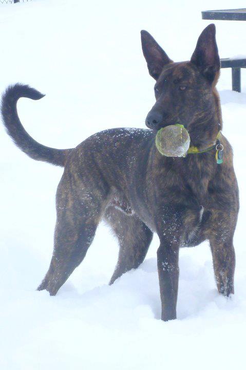 Javi in Snow.jpg