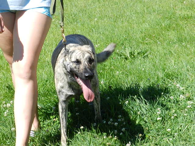 DSCN1169.JPG