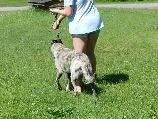 DSCN1168.JPG