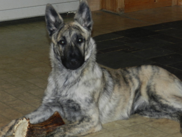 DSCN1069.JPG