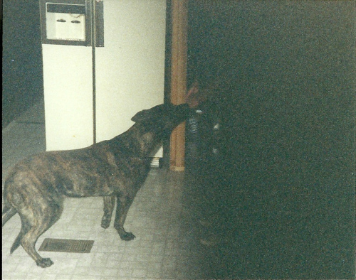 scan0001.jpg