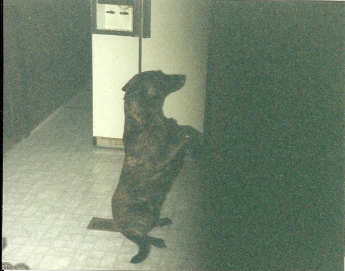 scan0002.jpg