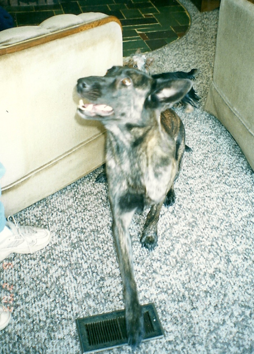 scan0028.jpg