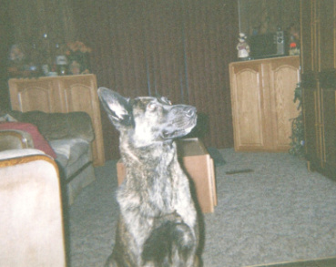 scan0032.jpg