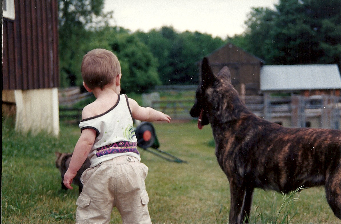 scan0009.jpg