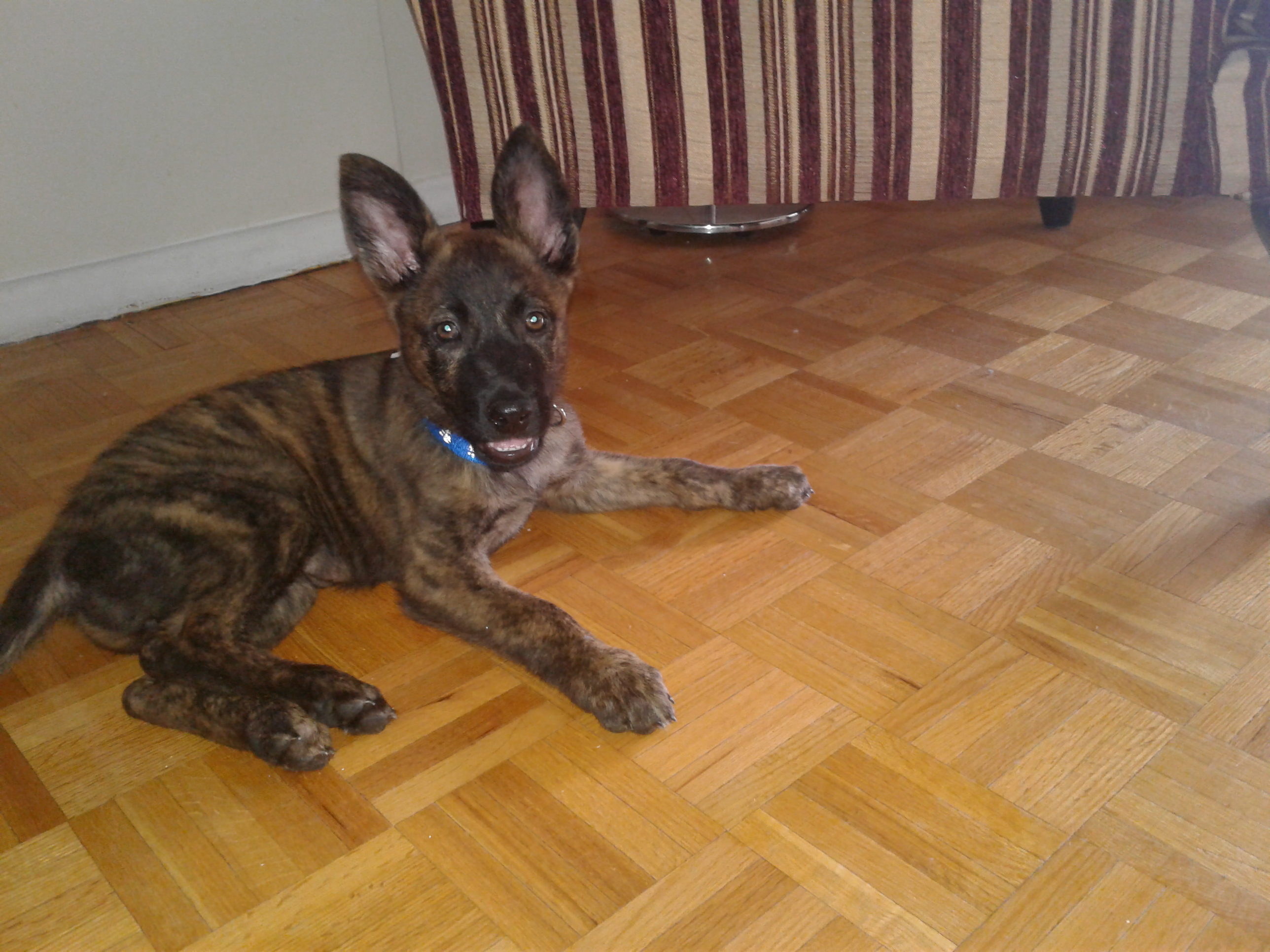 20180723_134939.jpg