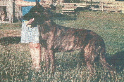 scan0023-1.jpg