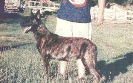 scan0023-2.jpg