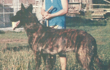 scan0023-3.jpg