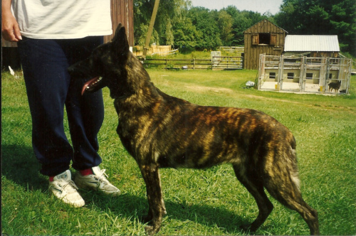 scan0031.jpg