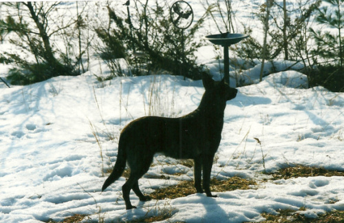 scan0029.jpg