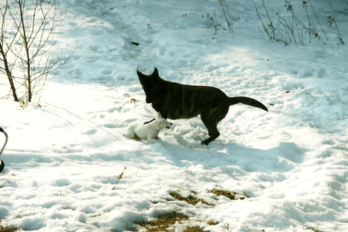 scan0030.jpg