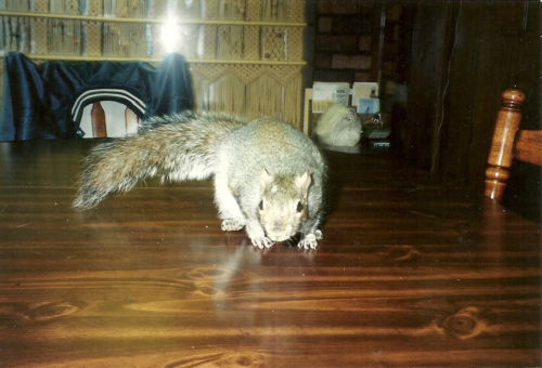 scan0015.jpg