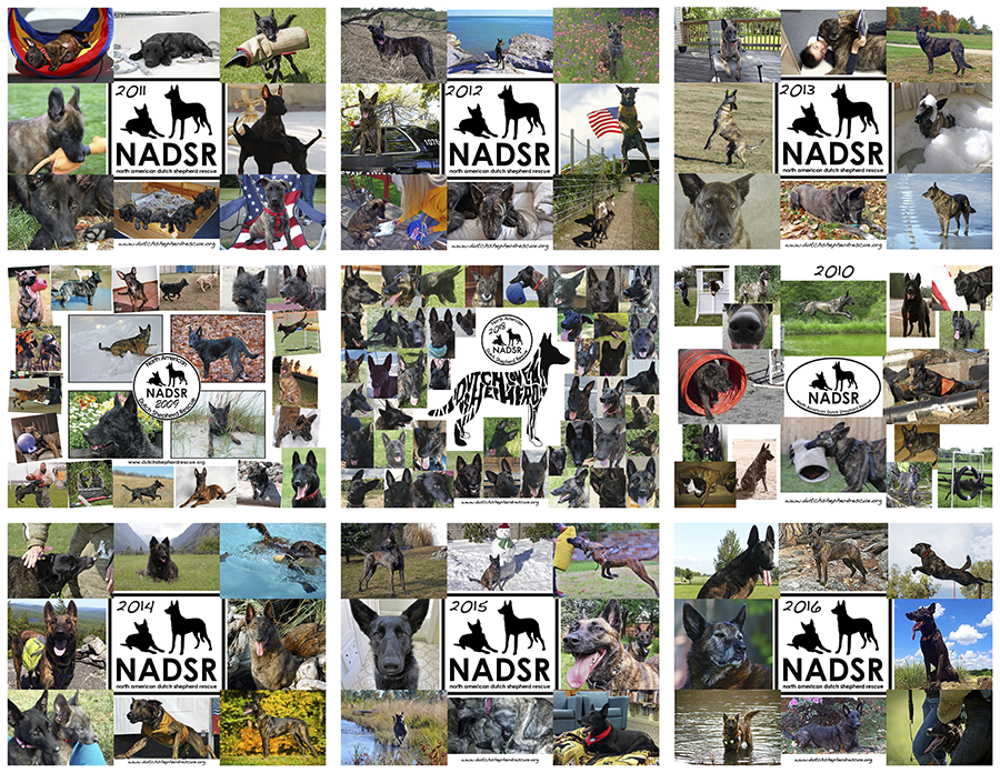 NADSR-calendar-9YearsOfCovers.png