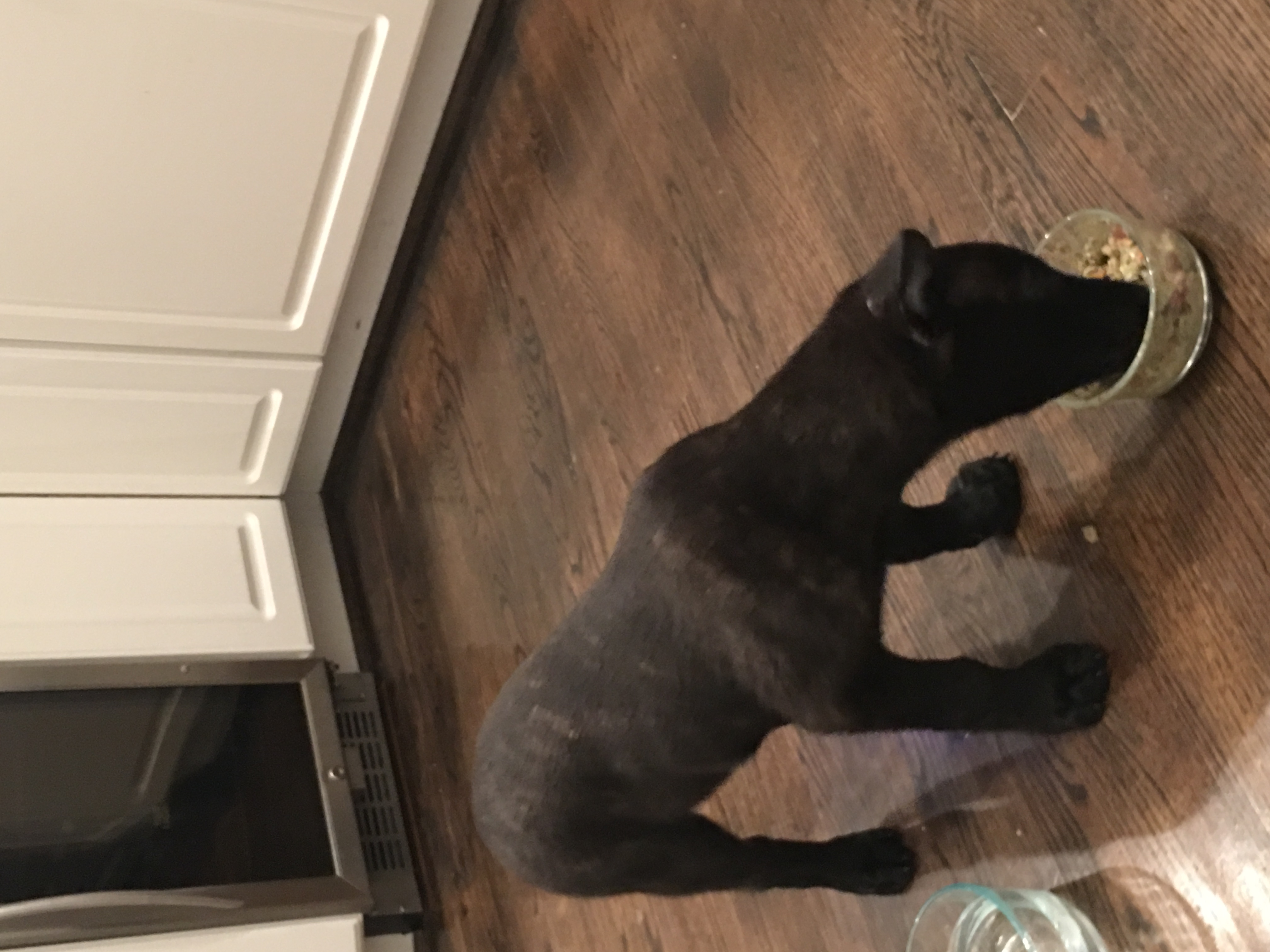 This is Jag