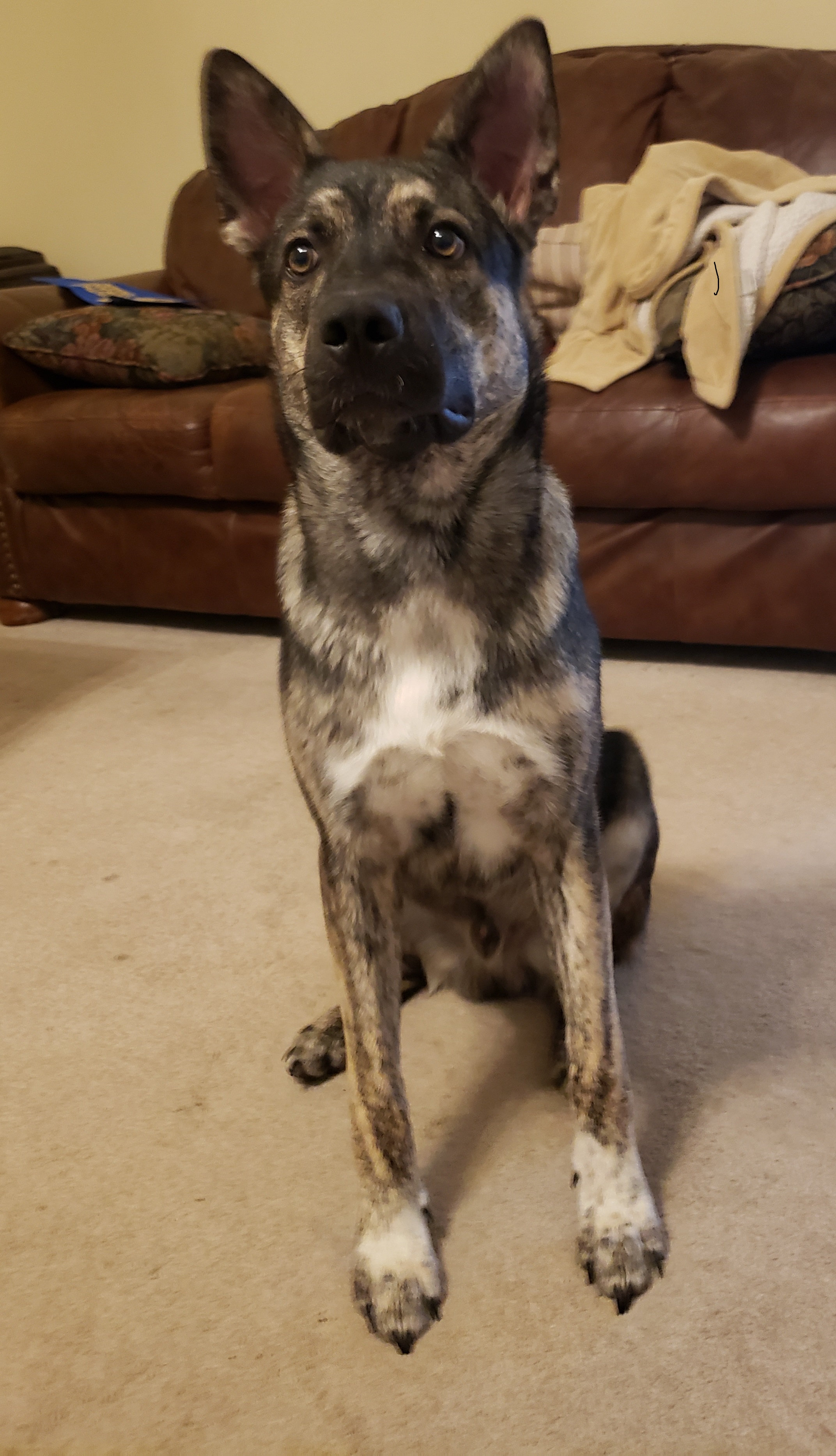 20190328_155123.jpg