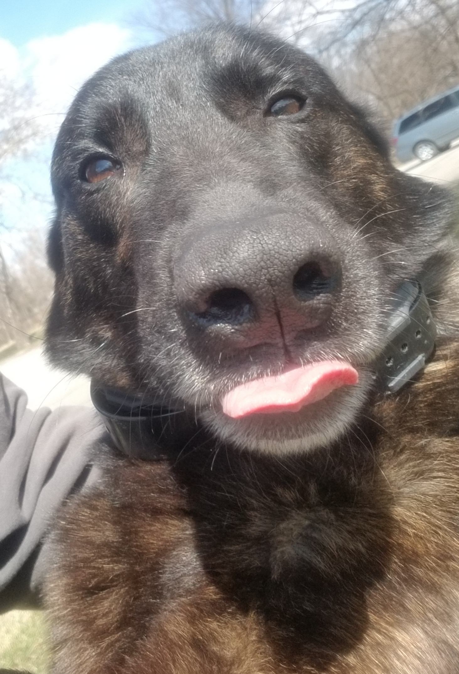20190409_081453.jpg