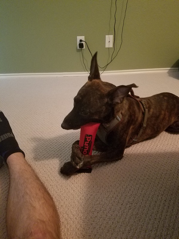 20190914_185558.jpg