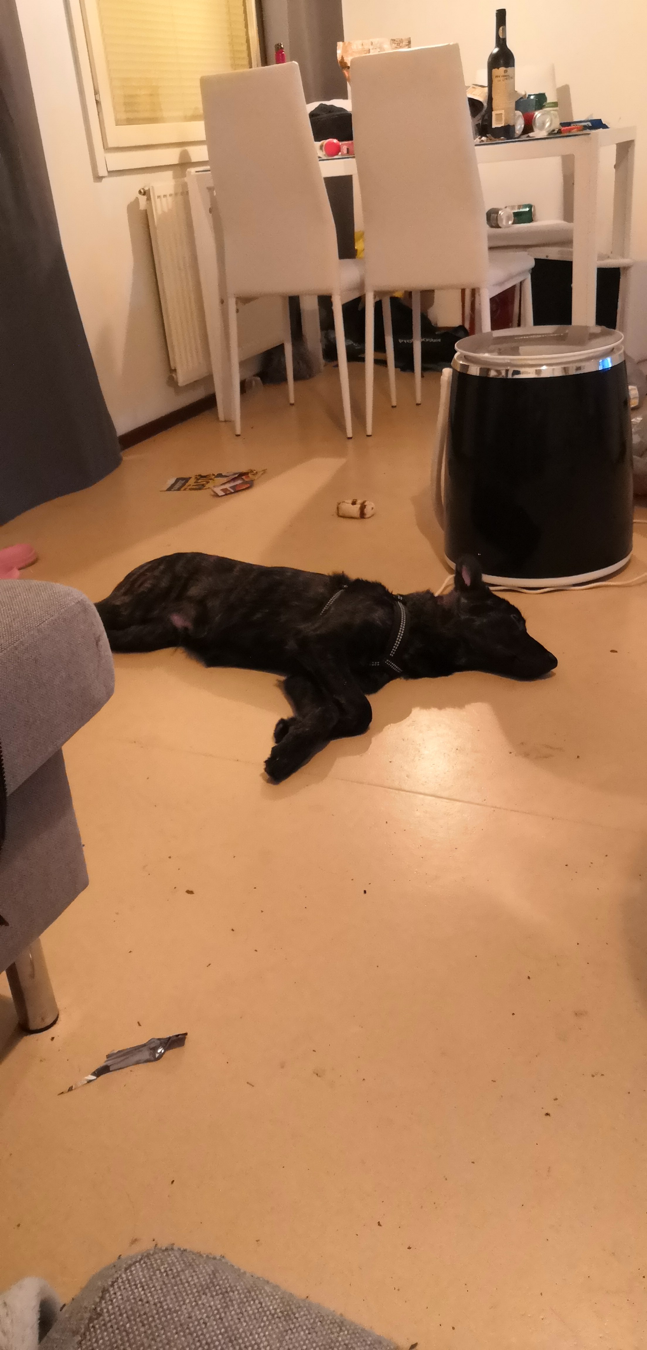 IMG-20191102-WA0000.jpeg