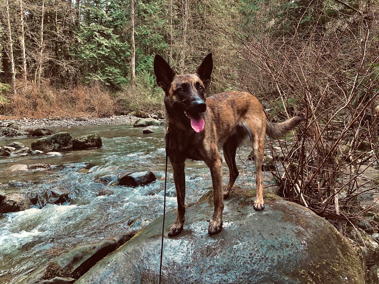 River.jpg