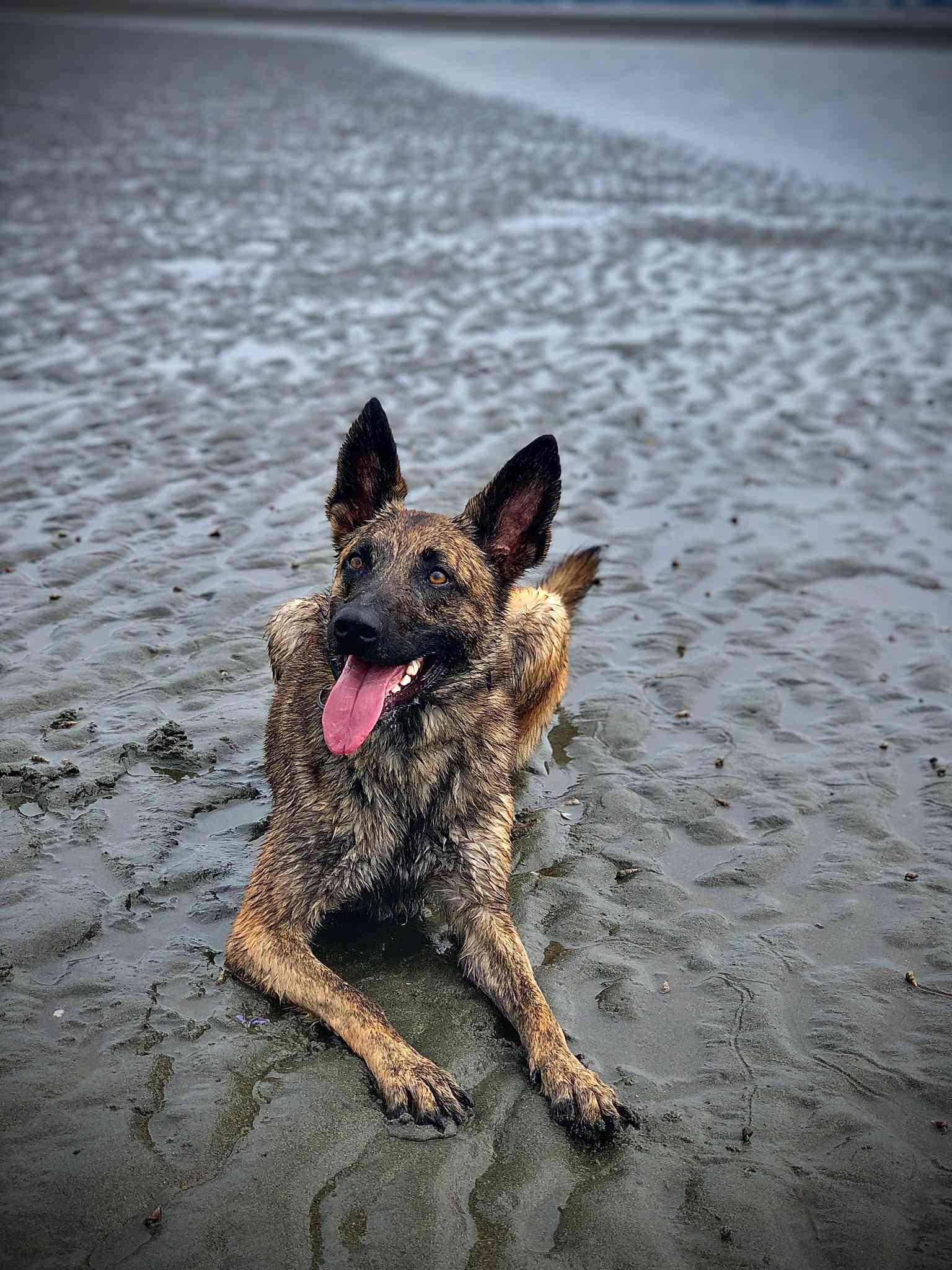 Beach.jpg