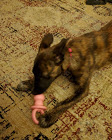 20200510_201248.jpg