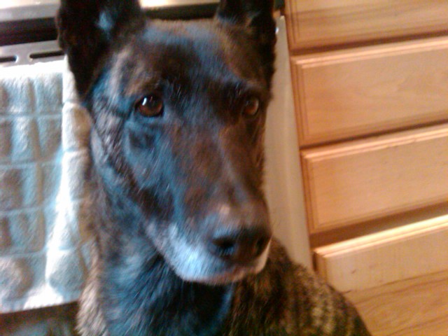 IMG00716-20120124-1411.jpg