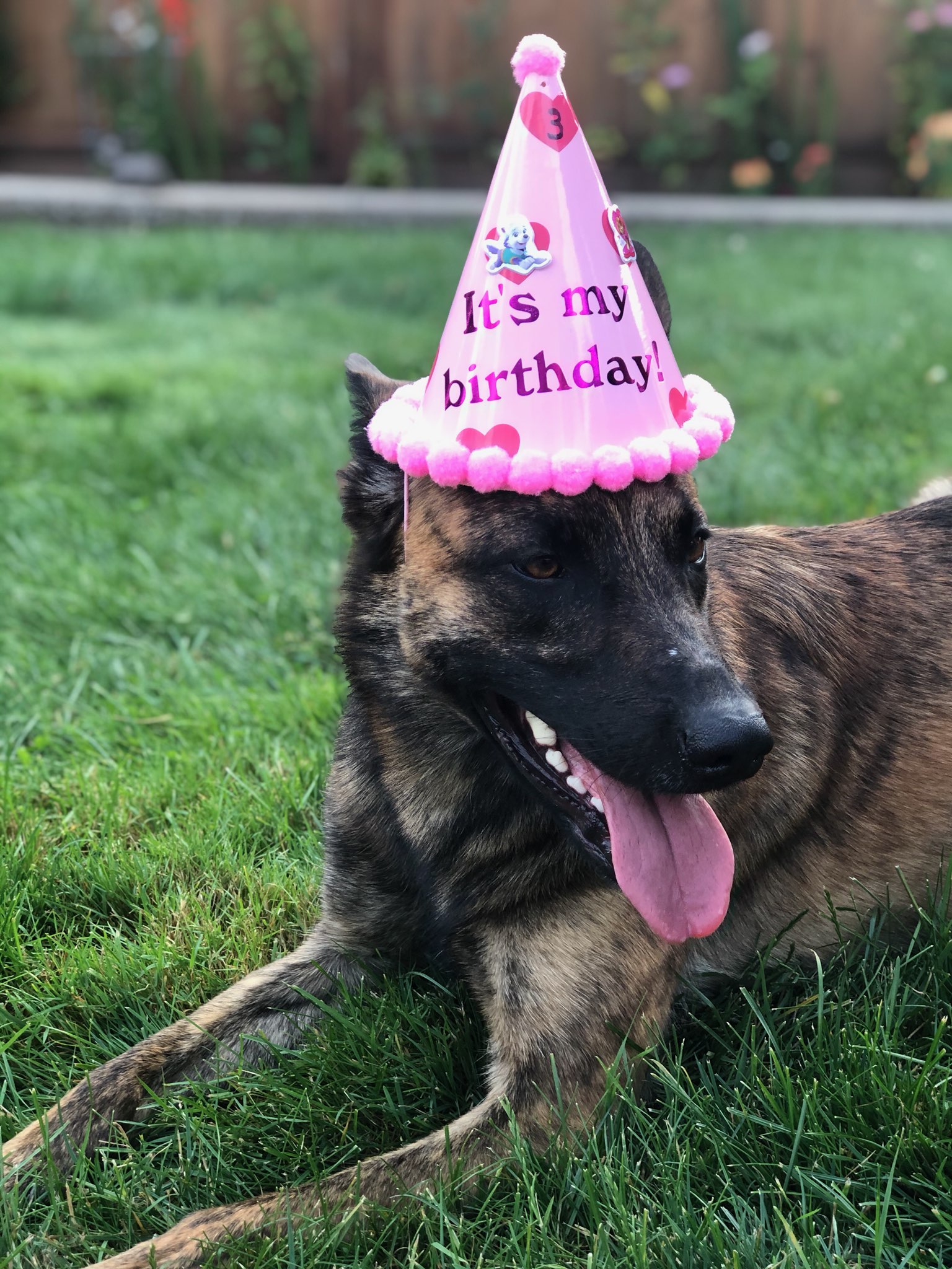 Bday.jpg
