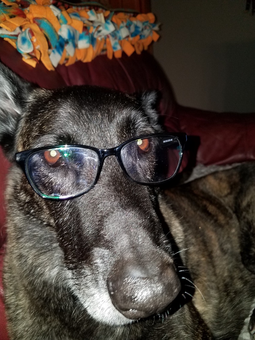 ICE glasses 2.jpg