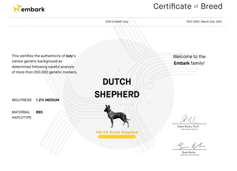 Got Izzys DNA Results