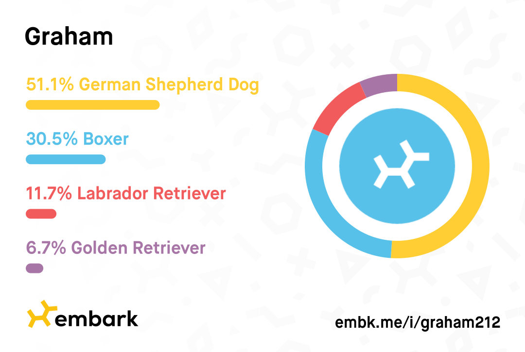 Embark DNA Test Results 2022-04-26