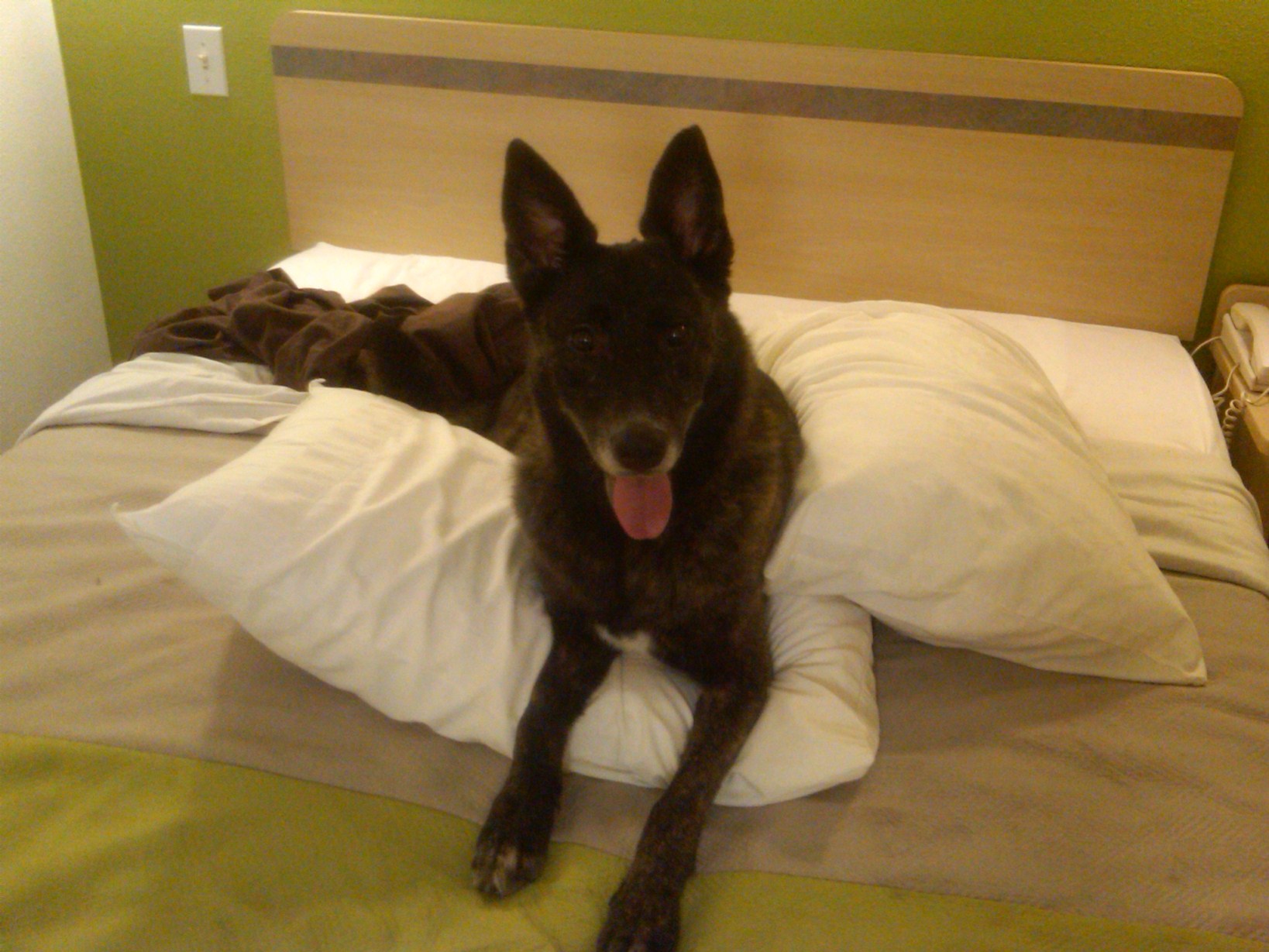 IMG01101-20110903-2127.jpg