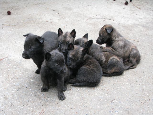 IMG_1039.jpg