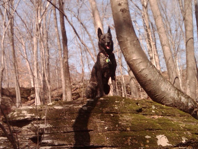 IMG00776-20120308-1152.jpg