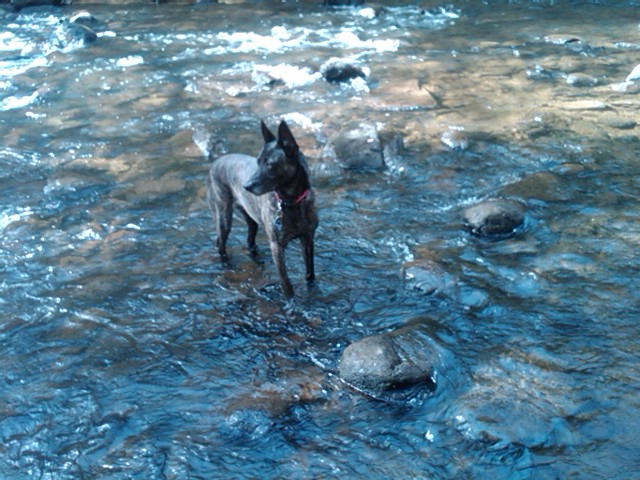 IMG00768-20120308-1121.jpg
