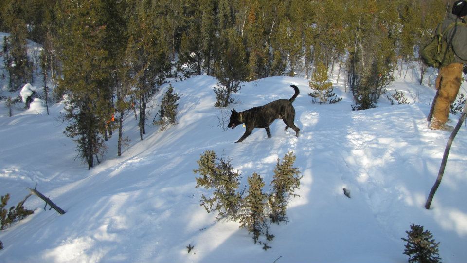 Hike 2.jpg