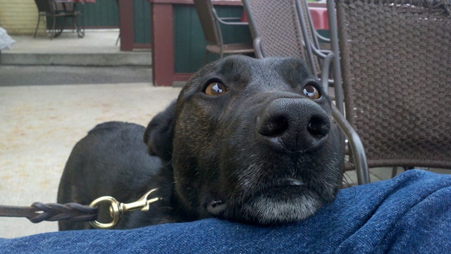 cino_03252012.jpg